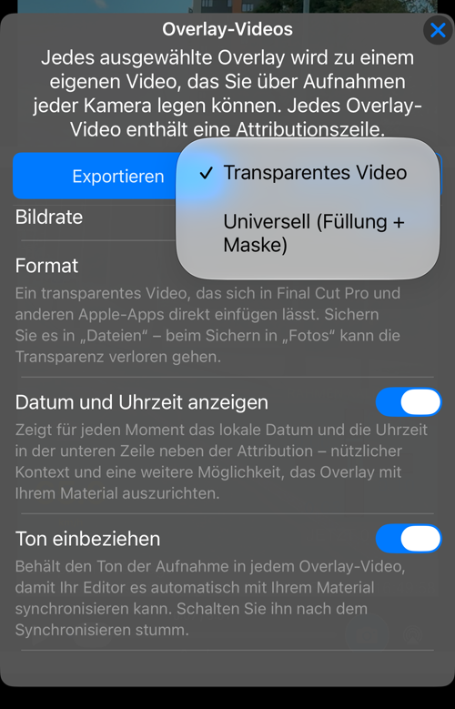 Die Formatauswahl: „Transparentes Video“ oder „Universell (Füllung + Maske)“
