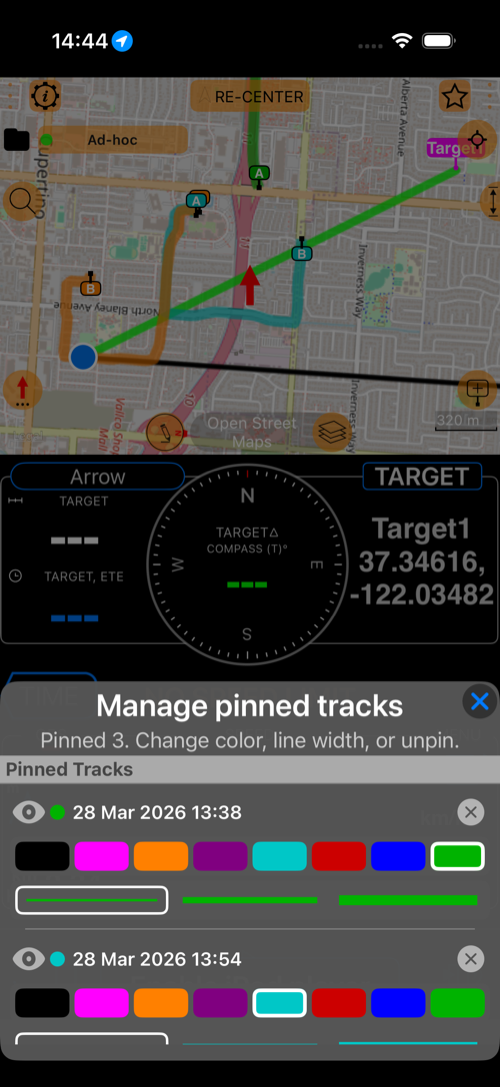 Manage pinned tracks over map