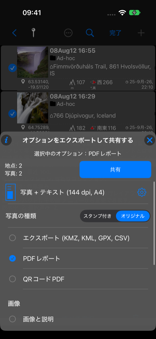 レイアウトのプレビュー、用紙、DPI、設定ボタンを表示した PDF レポートの選択肢