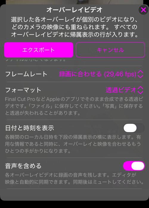 残りのオプション。フレームレート、説明つきのフォーマット、日付と時刻を表示、音声を含める