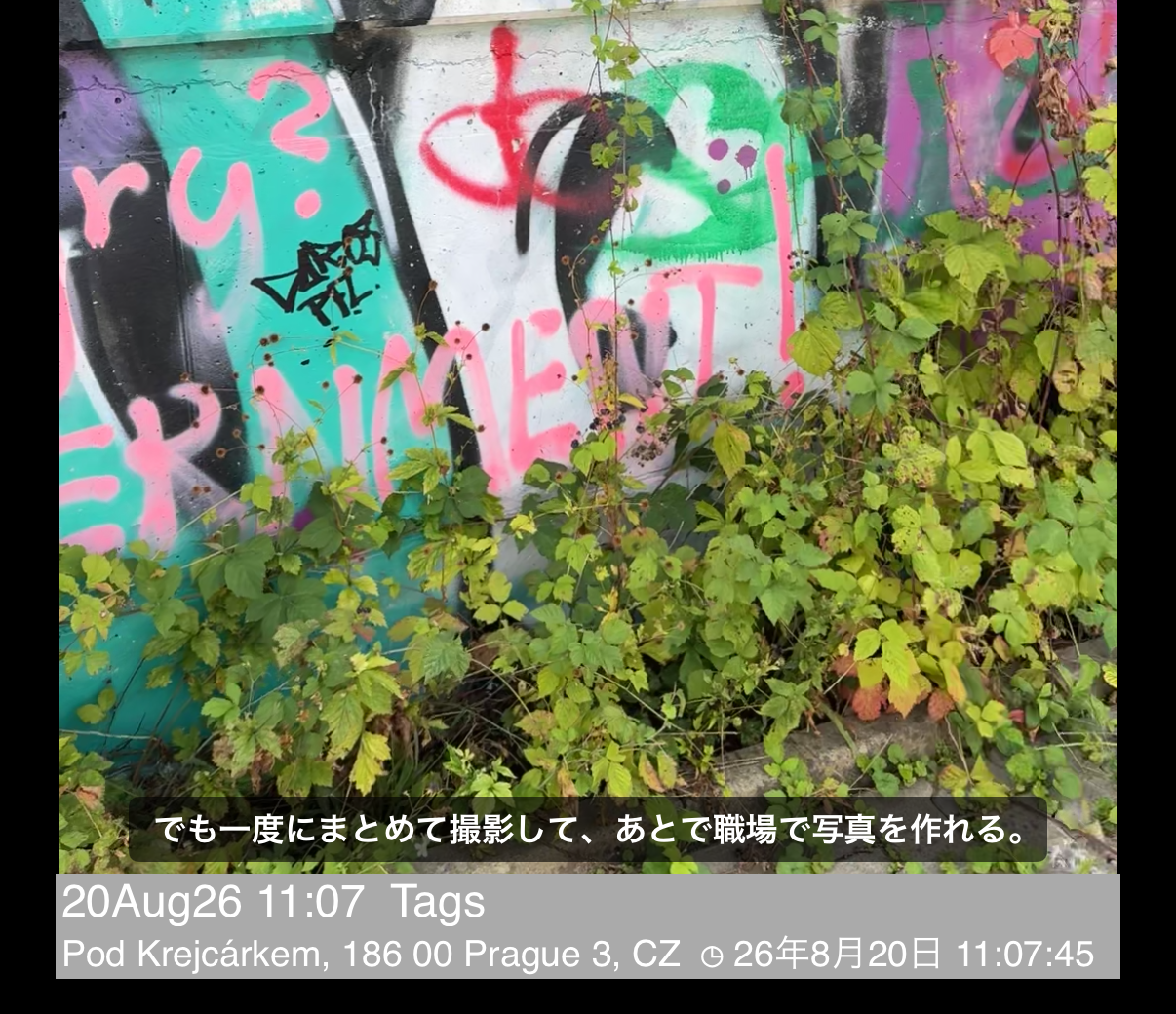 メモと住所の行の上、ビデオの上に字幕が表示された再生画面