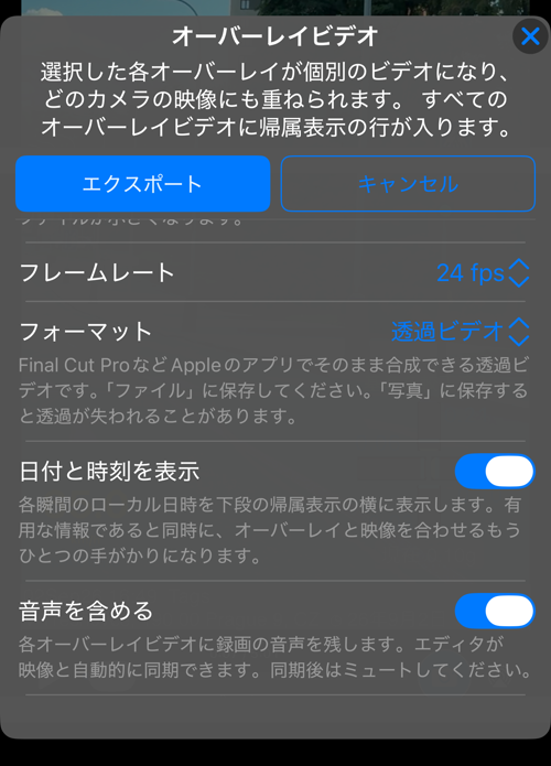 残りのオプション。フレームレート、説明つきのフォーマット、日付と時刻を表示、音声を含める
