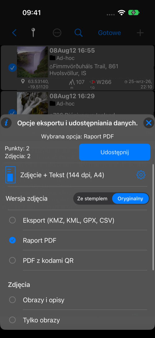 Opcja raportu PDF z podglądem układu, formatem papieru, DPI i przyciskiem ustawień