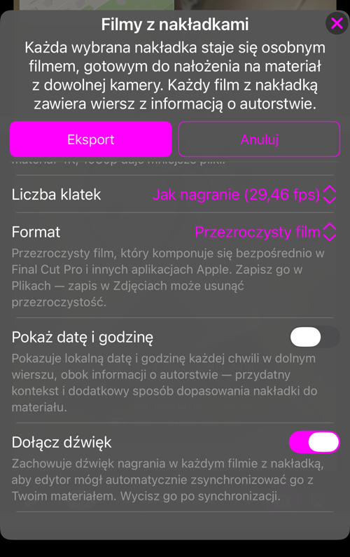 Pozostałe opcje: „Liczba klatek”, „Format” z wyjaśnieniem, „Pokaż datę i godzinę” oraz „Dołącz dźwięk”