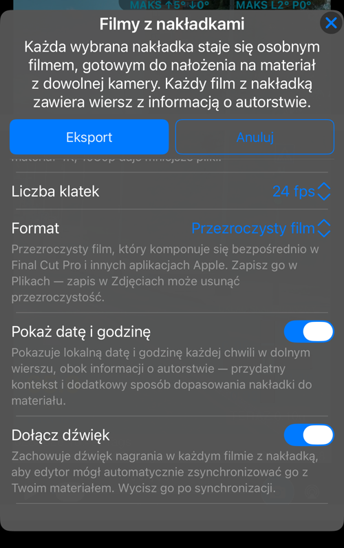 Pozostałe opcje: „Liczba klatek”, „Format” z wyjaśnieniem, „Pokaż datę i godzinę” oraz „Dołącz dźwięk”