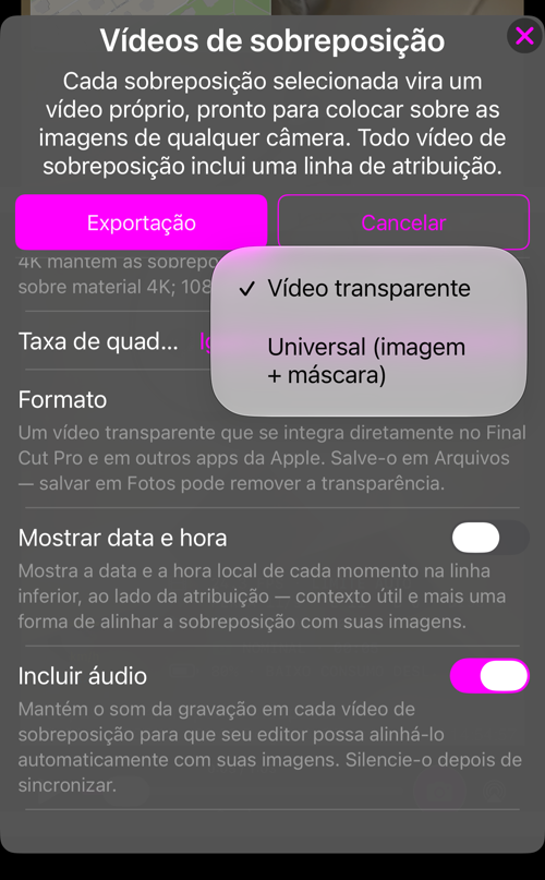 A escolha de formato: “Vídeo transparente” ou “Universal (imagem + máscara)”