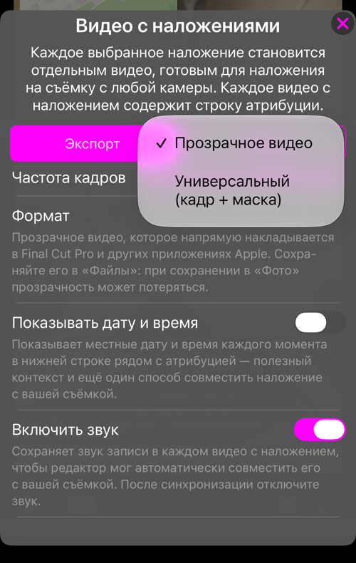 Выбор формата: «Прозрачное видео» или «Универсальный (кадр + маска)»