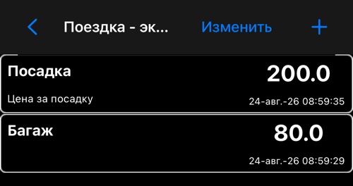 Список экстра-платежей поездки с позициями «Багаж» и «Посадка»