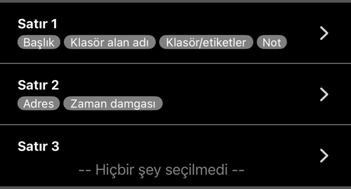 Satır 1, Satır 2 ve Satır 3, alanlarıyla; Satır 3 boş