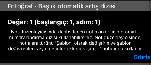Başlık otomatik sayaç dizisi: geçerli değer ve Sıfırla düğmesi