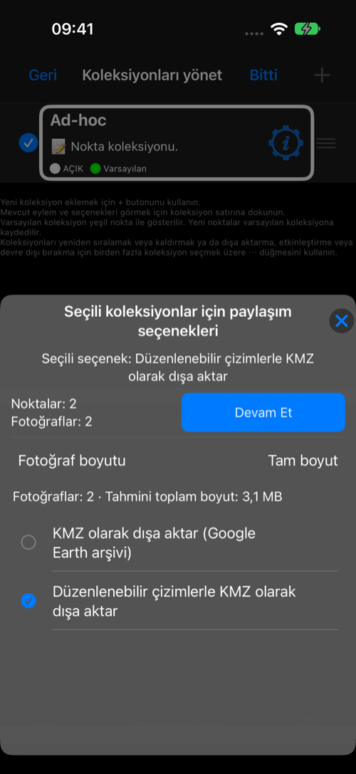Düzenlenebilir çizimlerle KMZ dışa aktarımı için seçilen koleksiyon