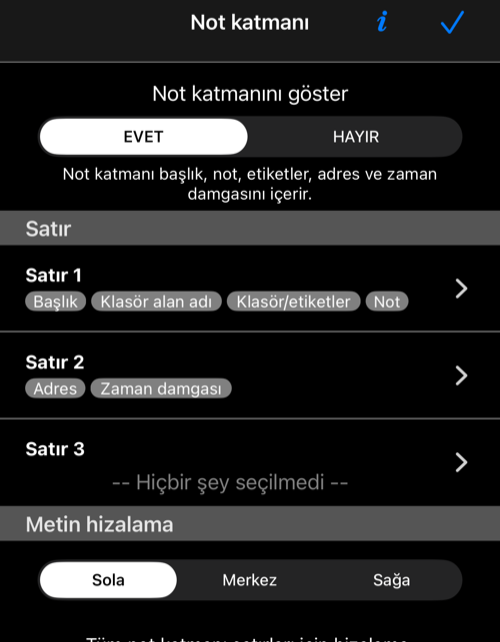 2. satırda zaman damgası seçili olan güncel Not katmanı ayarları