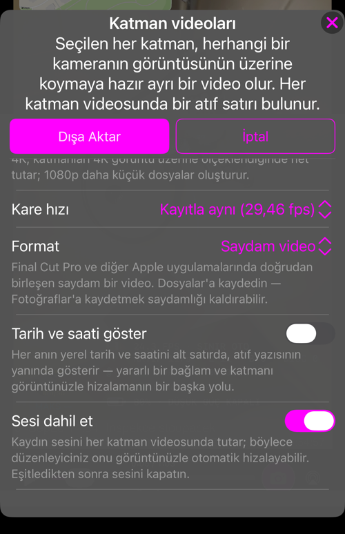 Kalan seçenekler: “Kare hızı”, açıklamasıyla “Format”, “Tarih ve saati göster” ve “Sesi dahil et”