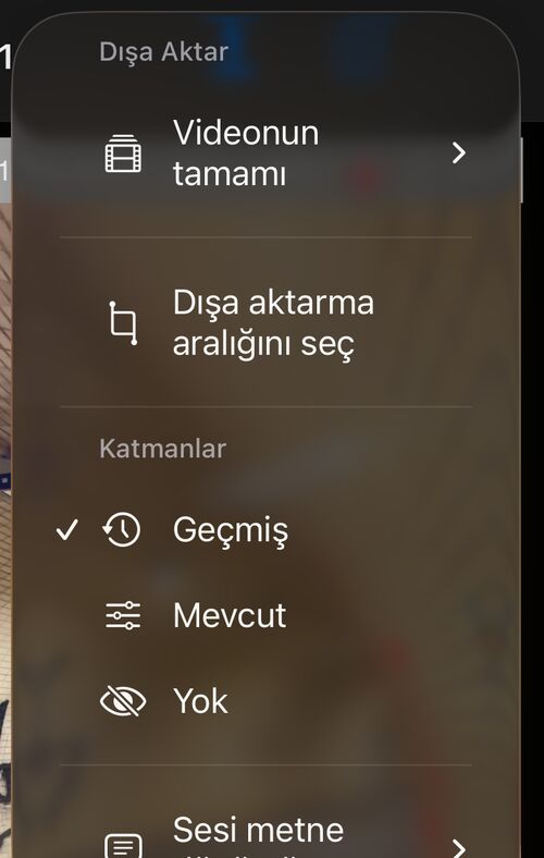 Video oynatmanın Diğer menüsünde, dışa aktarma ve katman bölümlerinin altında Sesi metne dönüştür girdisi
