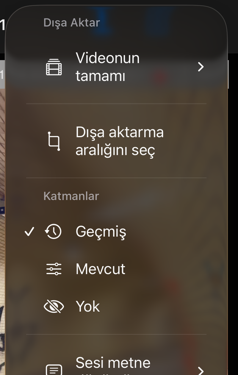 Video oynatmanın Diğer menüsünde, dışa aktarma ve katman bölümlerinin altında Sesi metne dönüştür girdisi