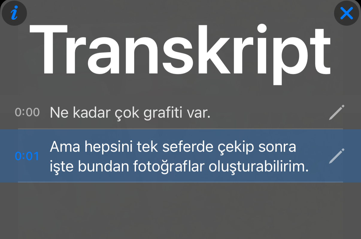 Her ifade için zaman damgalı bir satır ve vurgulanan geçerli satırla transkript paneli