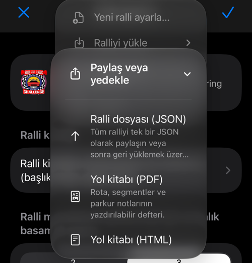 JSON, PDF ve HTML seçenekleriyle paylaşım menüsü