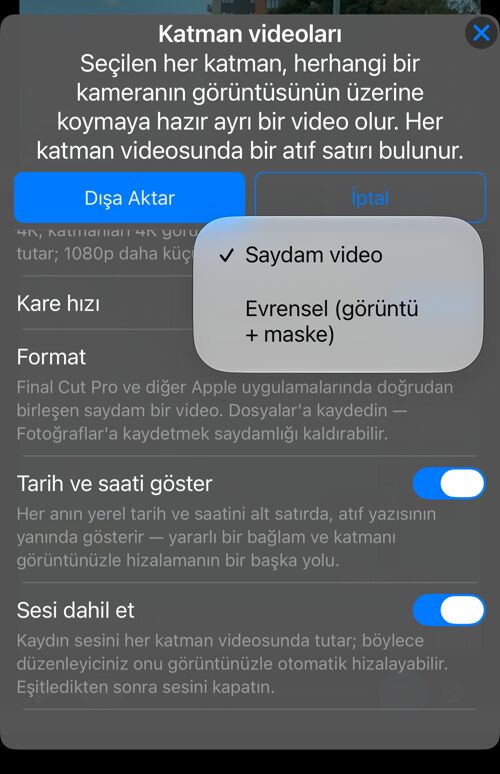 Format seçimi: “Saydam video” ya da “Evrensel (görüntü + maske)”