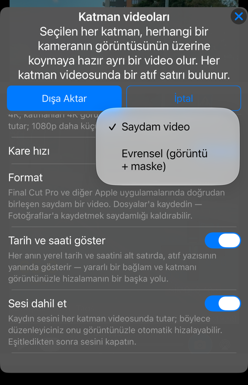 Format seçimi: “Saydam video” ya da “Evrensel (görüntü + maske)”