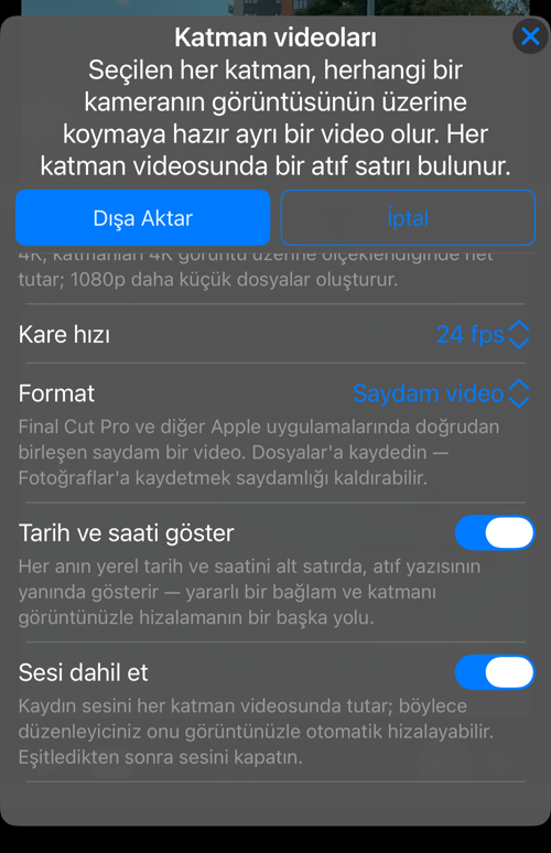 Kalan seçenekler: “Kare hızı”, açıklamasıyla “Format”, “Tarih ve saati göster” ve “Sesi dahil et”