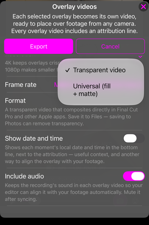Lựa chọn Format: Transparent video, hoặc Universal (fill + matte)