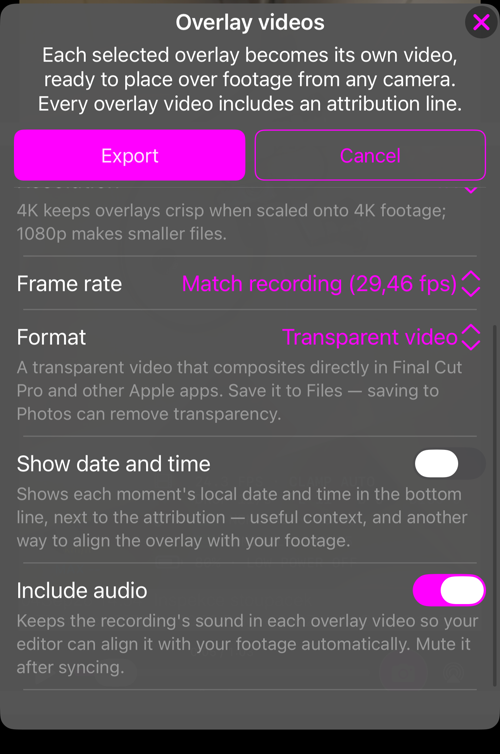Các tùy chọn còn lại: Frame rate, Format kèm phần giải thích, Show date and time và Include audio
