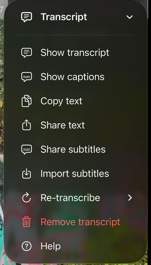 Transcript menu with Show transcript, Show captions, Copy text, Share text, Share subtitles, Import subtitles, Re-transcribe, Remove transcript and Help