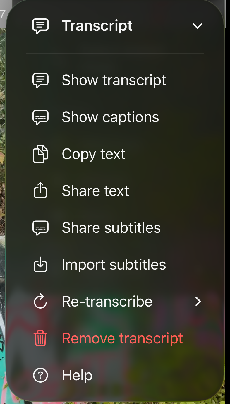 Transcript menu with Show transcript, Show captions, Copy text, Share text, Share subtitles, Import subtitles, Re-transcribe, Remove transcript and Help