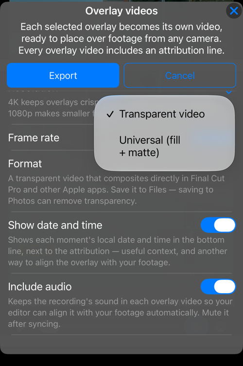 Lựa chọn Format: Transparent video, hoặc Universal (fill + matte)