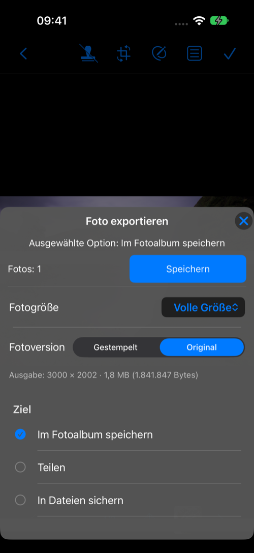 Foto exportieren: Größe, Version und Ziel
