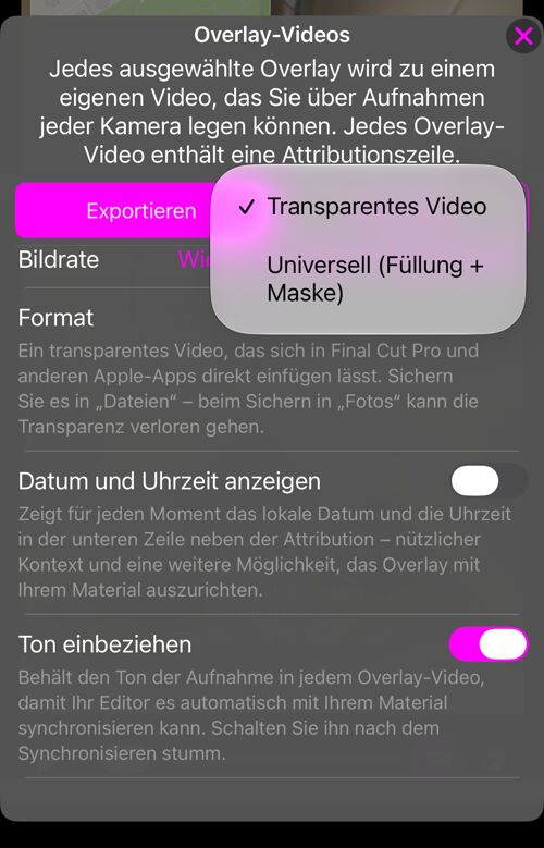 Die Formatauswahl: „Transparentes Video“ oder „Universell (Füllung + Maske)“