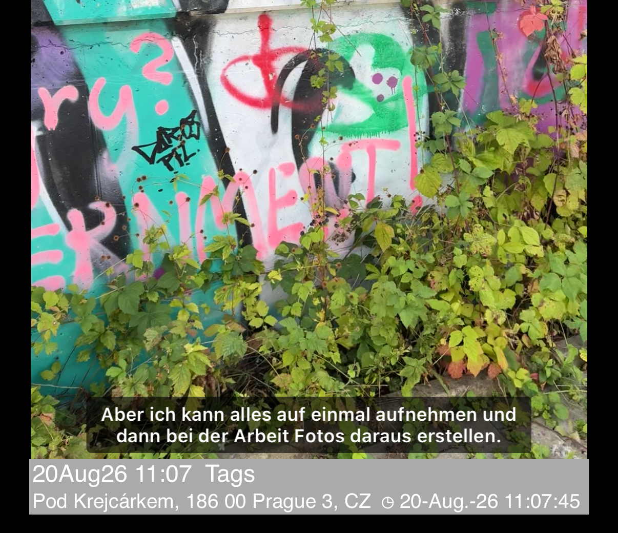 Wiedergabe mit einer Untertitelzeile über dem Video, oberhalb der Notiz- und Adresszeilen