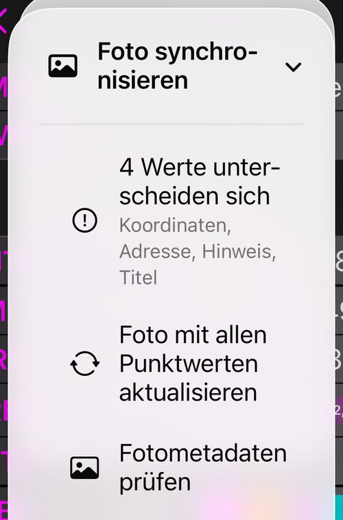 Das Menü Foto synchronisieren: eine Statuszeile mit 3 Werte unterscheiden sich, Foto mit allen Wegpunktwerten aktualisieren und Foto-Metadaten prüfen