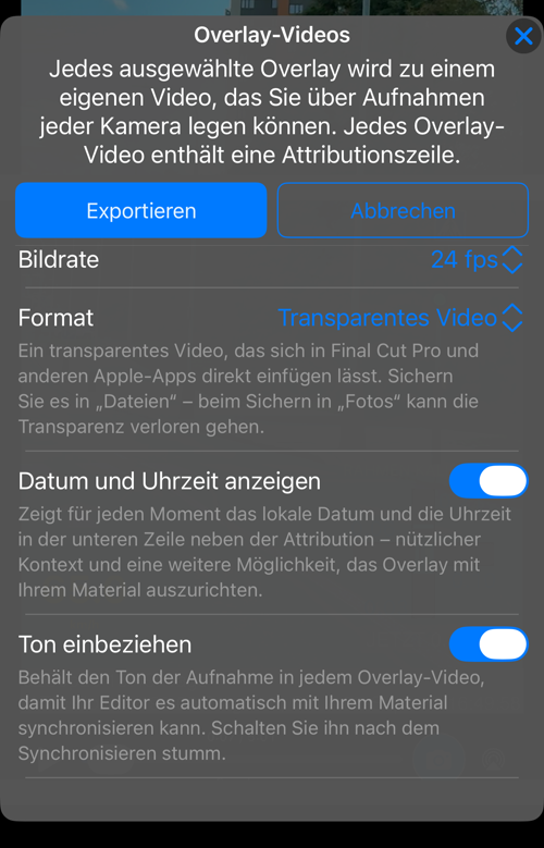 Die übrigen Optionen: „Bildrate“, „Format“ mit Erklärung, „Datum und Uhrzeit anzeigen“ und „Ton einbeziehen“