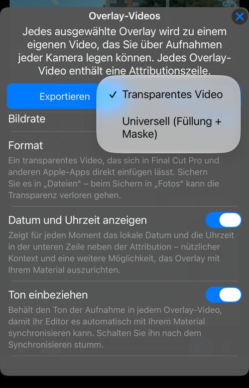 Die Formatauswahl: „Transparentes Video“ oder „Universell (Füllung + Maske)“