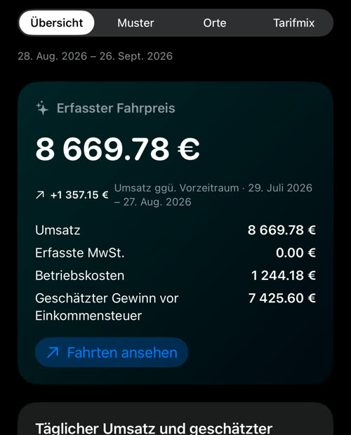 Die Hauptzahl mit angewendeten Kosten: Umsatz 8 669.78 €, erfasste MwSt. 0.00 €, Betriebskosten 1 244.18 €, geschätzter Gewinn vor Einkommensteuer 7 425.60 €