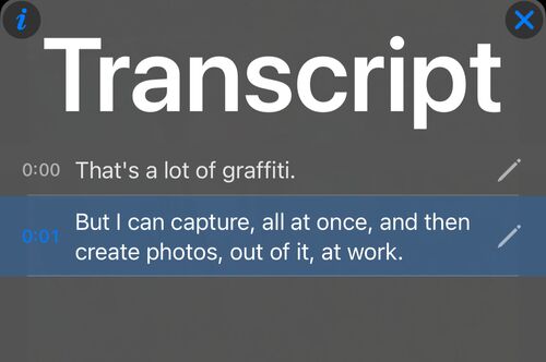 Transcript panel with a timestamped line per phrase and the current line highlighted