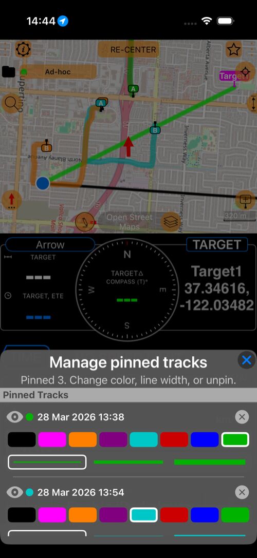 Manage pinned tracks over map