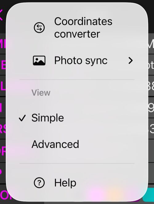 The point editor&rsquo;s More menu: Coordinates converter, Photo sync, the View section with Simple checked and Advanced beneath it, and Help