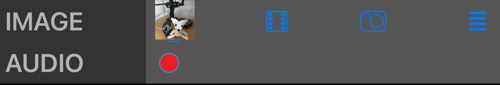 The IMAGE row with the photo thumbnail and its three buttons, and the AUDIO row with its record button
