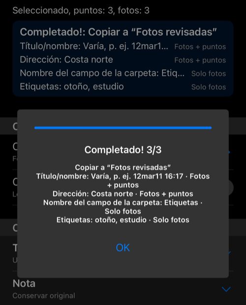 Panel Completado 3/3 tras copiar los puntos y fotos seleccionados