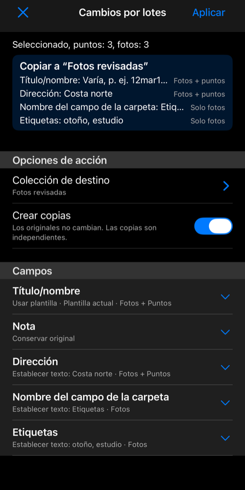 Copia revisada en la colección de destino, con dirección y etiquetas de las fotos en el resumen