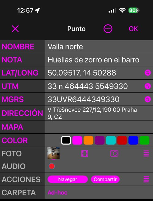 El editor de puntos en vista Sencilla: NOMBRE, NOTA, LAT/LONG, UTM, MGRS, DIRECCIÓN, MAPA, COLOR, FOTO, AUDIO, ACCIONES y CARPETA, una fila cada uno