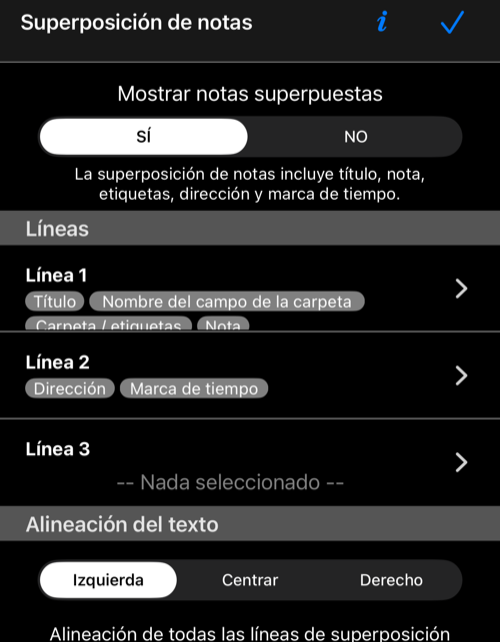 Ajustes actuales de la superposición de notas con la marca de tiempo en la línea 2