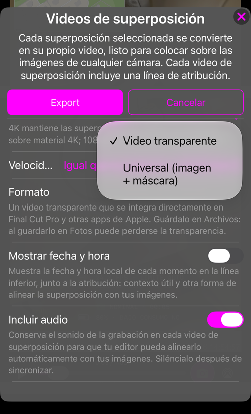 La elección de formato: «Video transparente» o «Universal (imagen + máscara)»