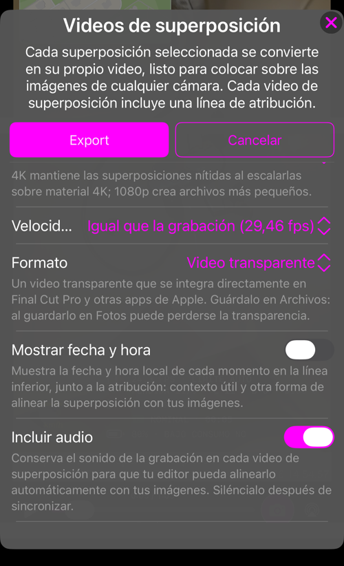 El resto de opciones: «Velocidad de fotogramas», «Formato» con su explicación, «Mostrar fecha y hora» e «Incluir audio»
