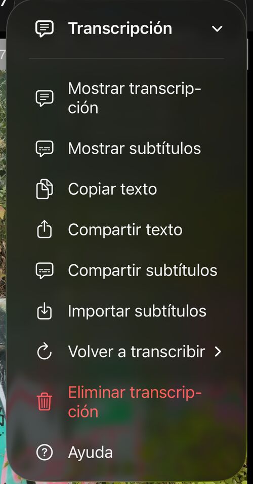 Menú Transcripción con Mostrar transcripción, Mostrar subtítulos, Copiar texto, Compartir texto, Compartir subtítulos, Importar subtítulos, Transcribir de nuevo, Eliminar transcripción y Ayuda
