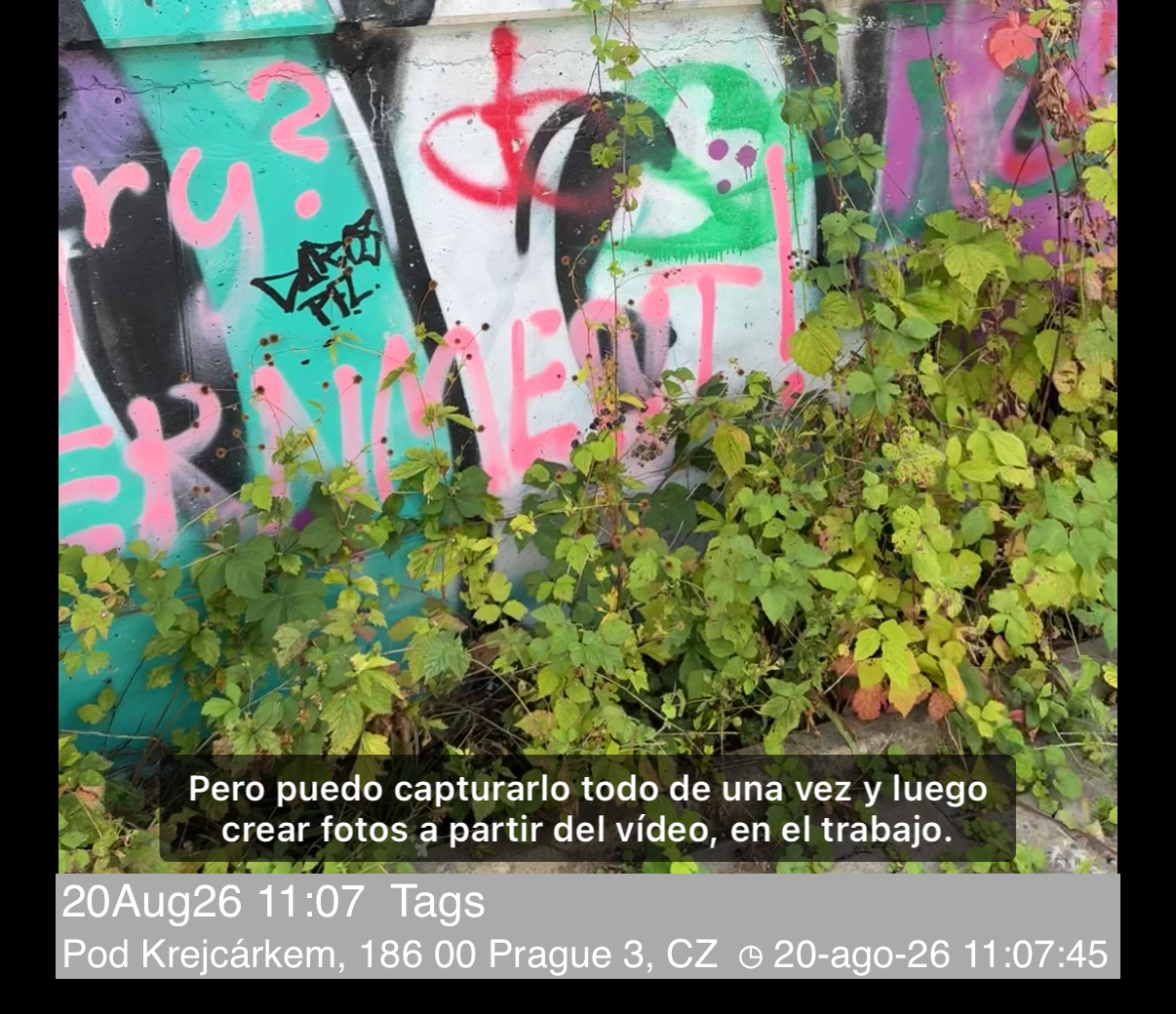 Reproducción con una línea de subtítulo sobre el vídeo, por encima de las filas de notas y dirección