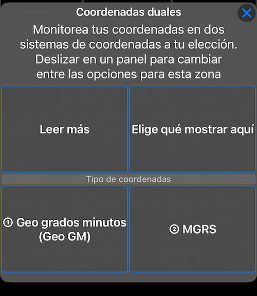 Menú de opciones para coordenadas duales