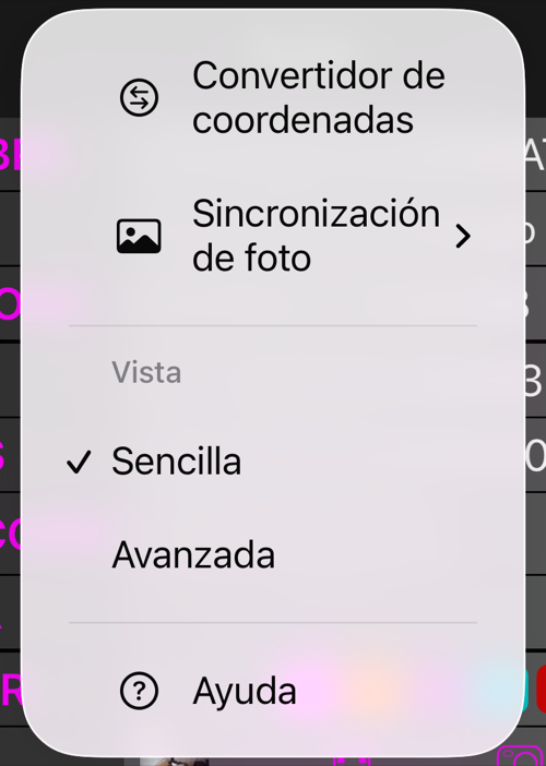 El menú Más del editor de puntos: Convertidor de coordenadas, Sincronización de foto, la sección Vista con Sencilla marcada y Avanzada debajo, y Ayuda